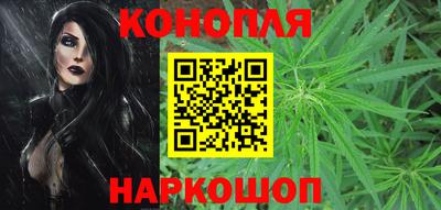 хмурый Камень-на-Оби
