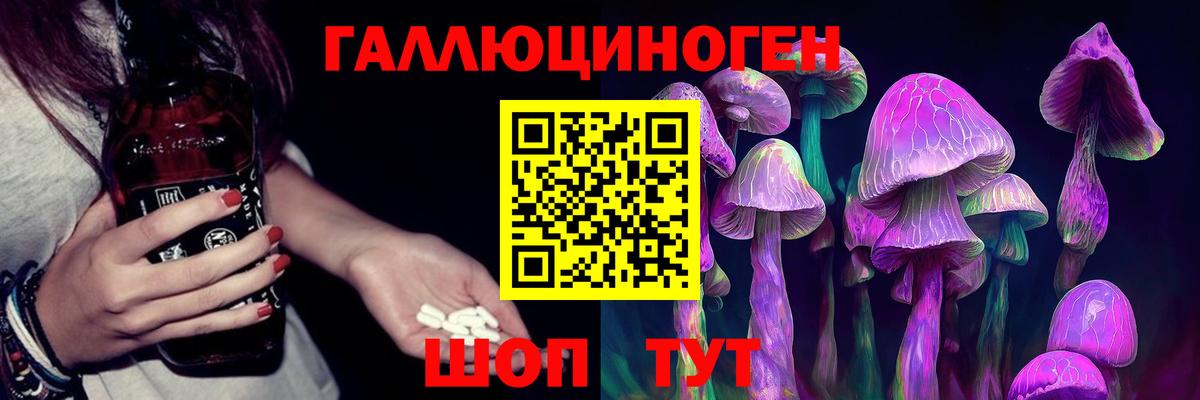 Галлюциногенные грибы Psilocybe  Вход с VPN  Златоуст  Галлюциногенные грибы мицелий 